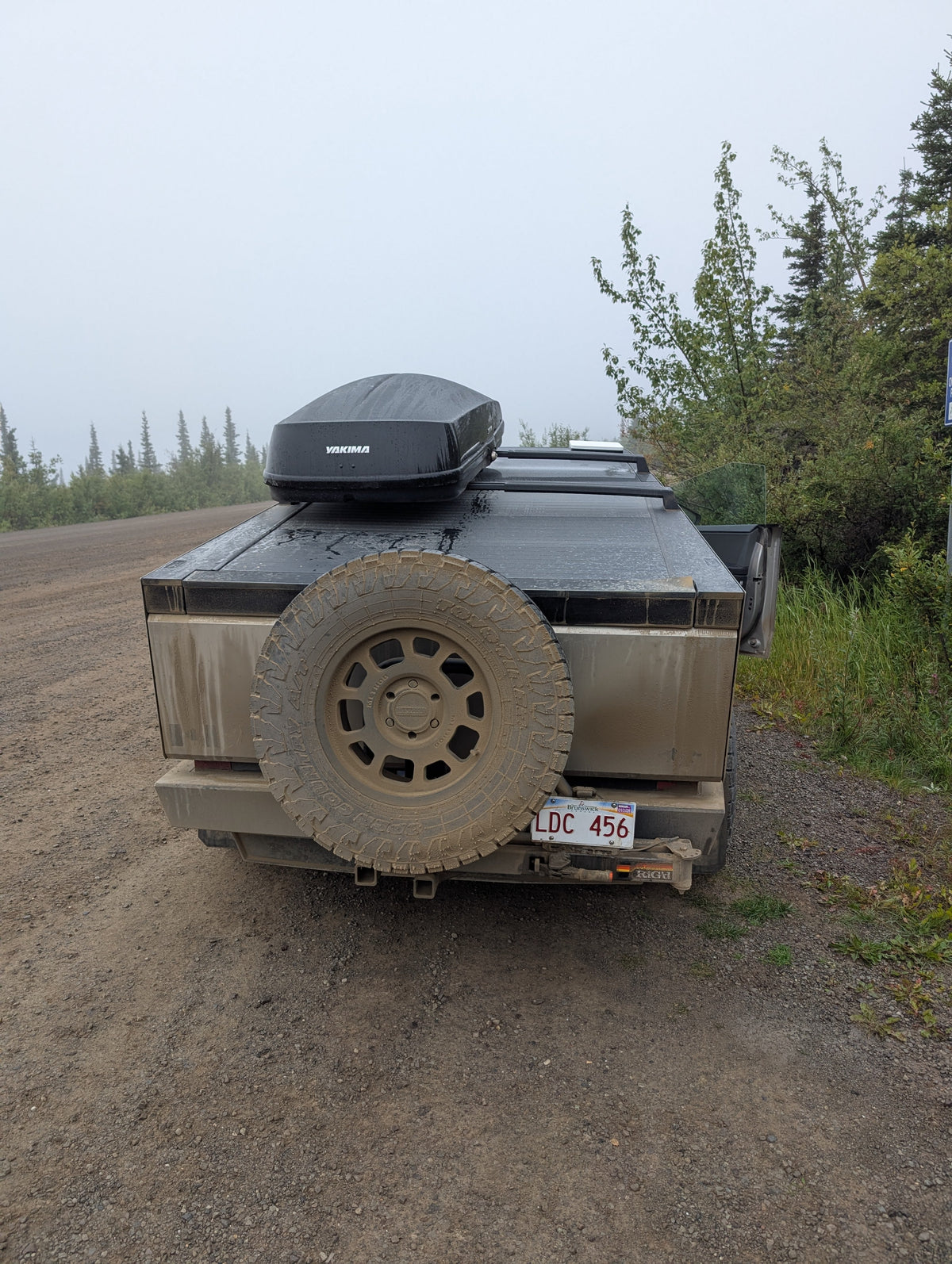 CyberSwing™ Spare Tire Hitch Mount
