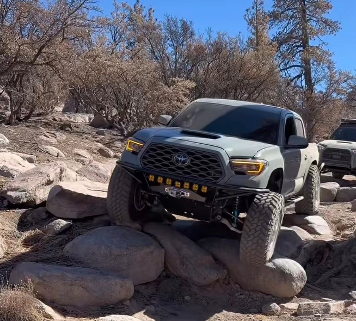 Lower Control Arms High Caster -3rd Gen Tacoma