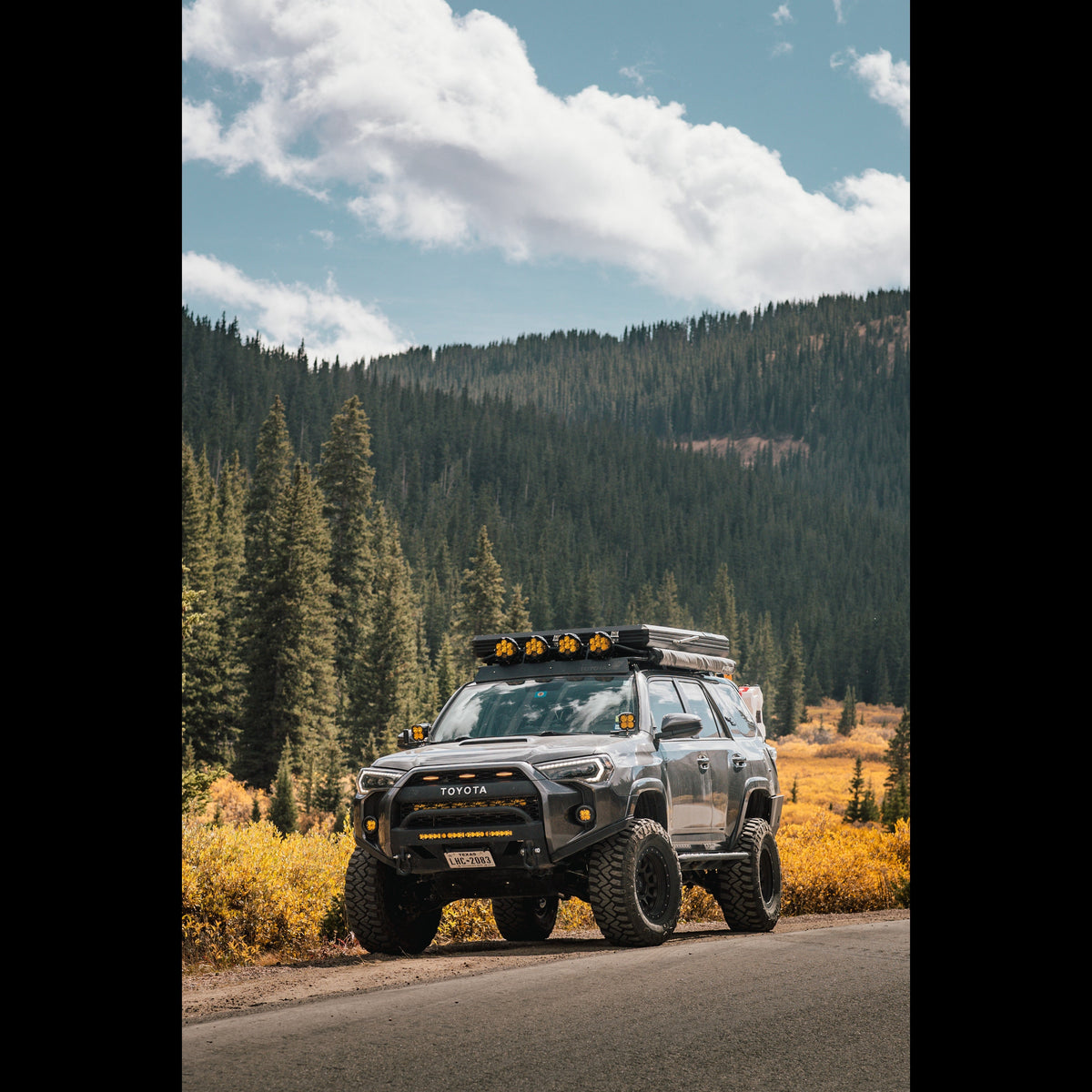 4Runner Lo Pro Bumper High Clearance Additions / 5th Gen / 2014+ - C4 Fabrication